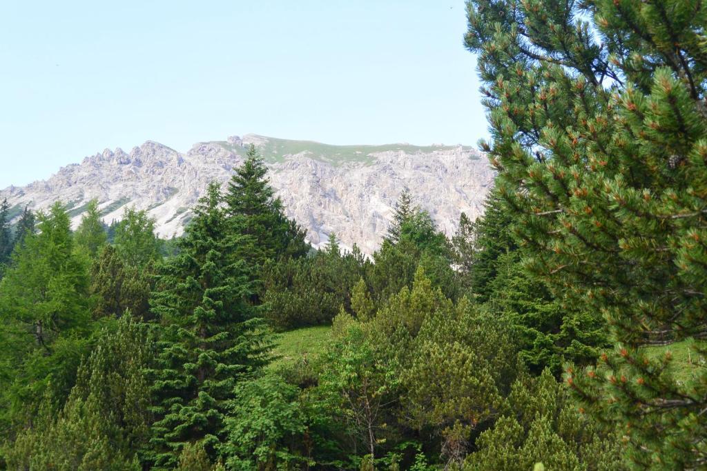 Voegeli Alpenhotel Malbun Bagian luar foto